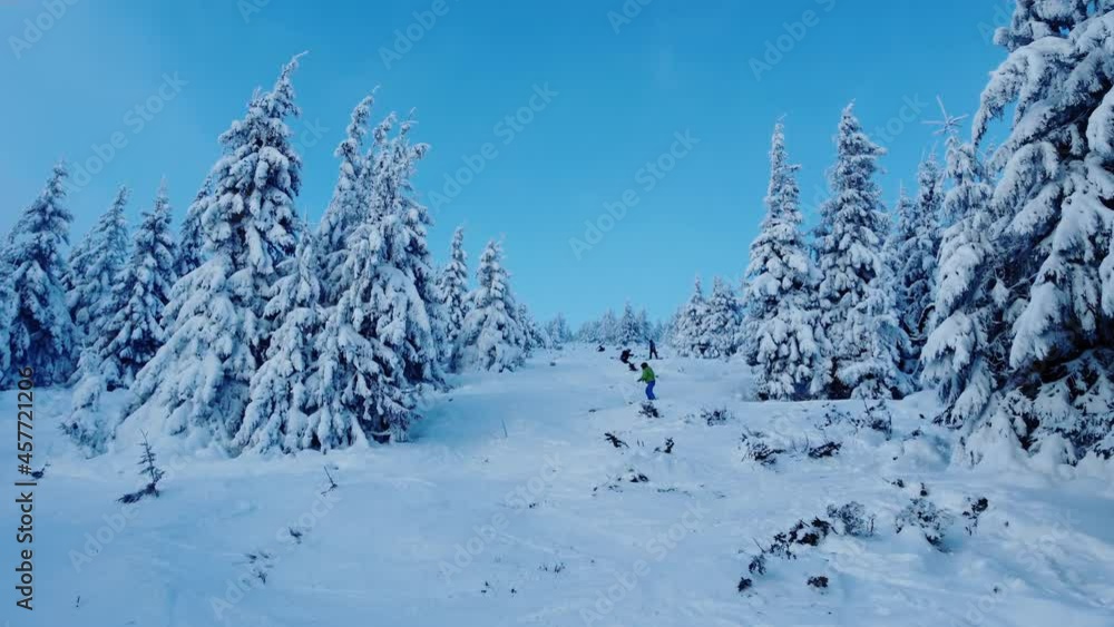 Aerial view of a frozen winter forest covered with snow Aerial view of a frozen winter forest covered with snow
