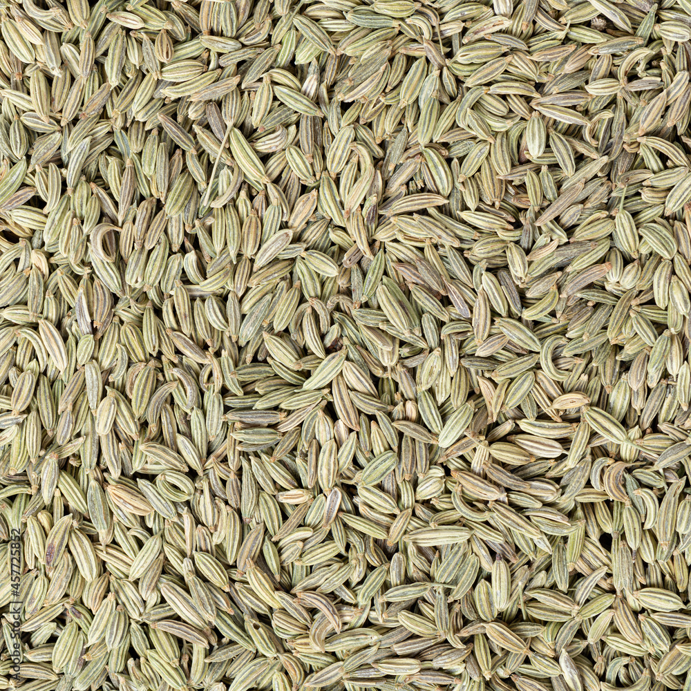 Close up background of fennel seeds Close up background of fennel seeds