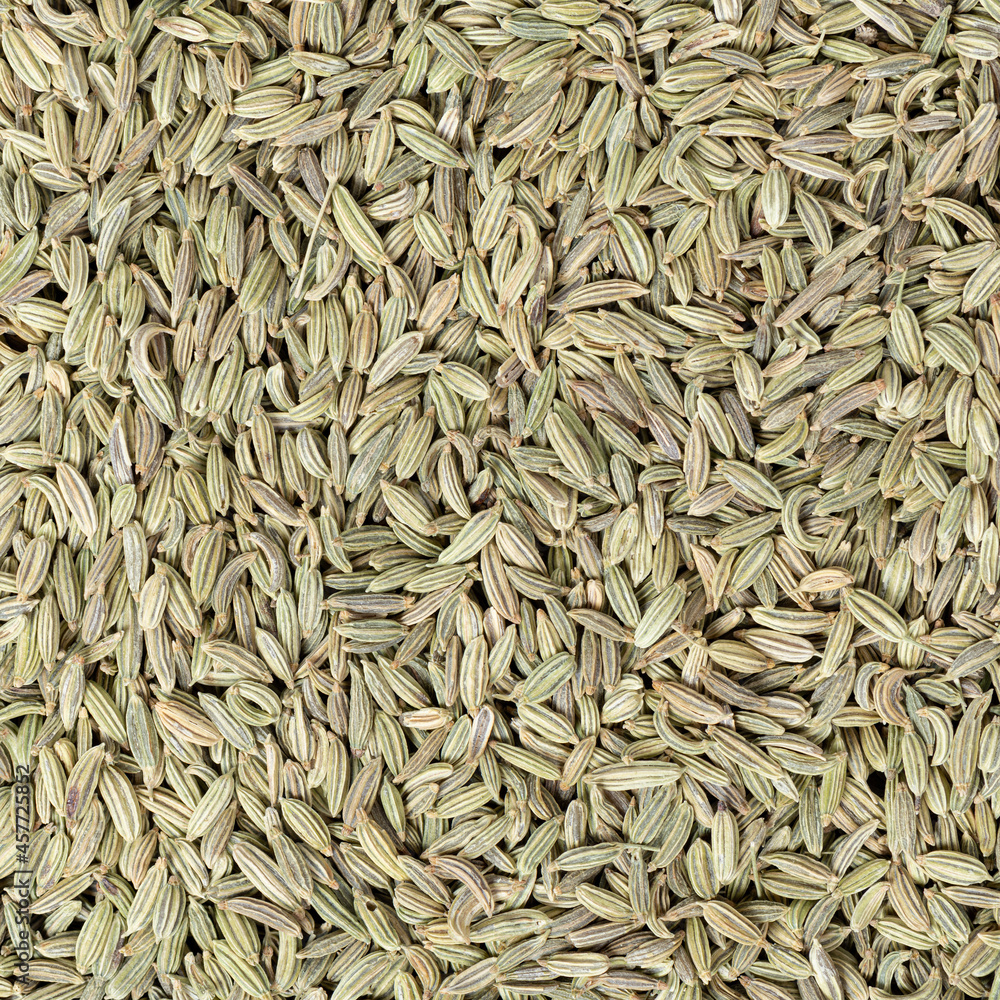 Close up background of fennel seeds