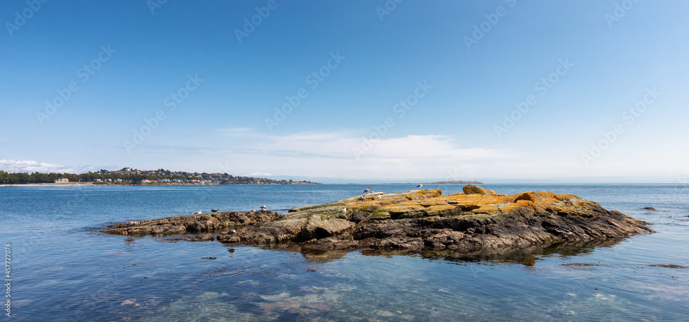 View of Rocky shore with birds at a modern city park, Clover Point, during sunny summer day. Victoria, Vancouver Island, British Columbia, Canada.