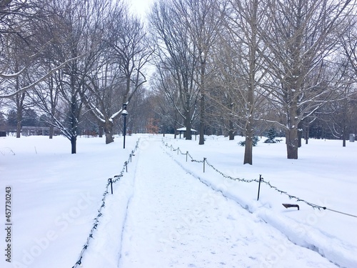snow covered walkway   © Fah C.A.