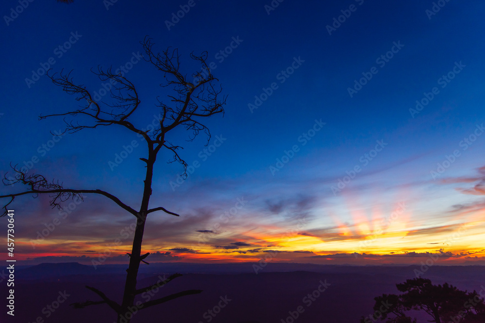 The tree and a landscape of mountain ridges, sunset sky, and clouds.  Location place Phu Kra Dung National park of Thailand.  in vintage style