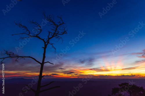 The tree and a landscape of mountain ridges, sunset sky, and clouds. Location place Phu Kra Dung National park of Thailand. in vintage style