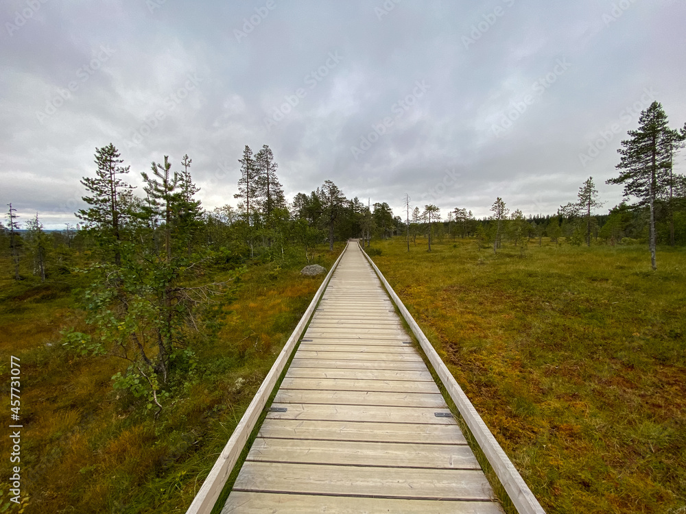 Fulufjället Nationalpark Sweden moor between a web - Architecture Photography	