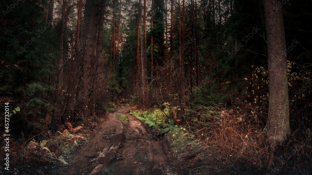 landscape landscape