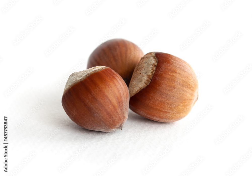 hazelnut isolated on white background closeup hazelnut isolated on white background closeup