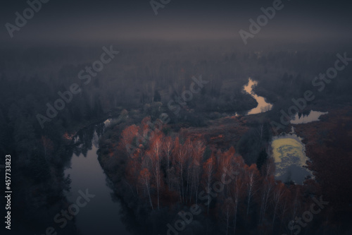 aerial photography of forest, forest and river landscape photo