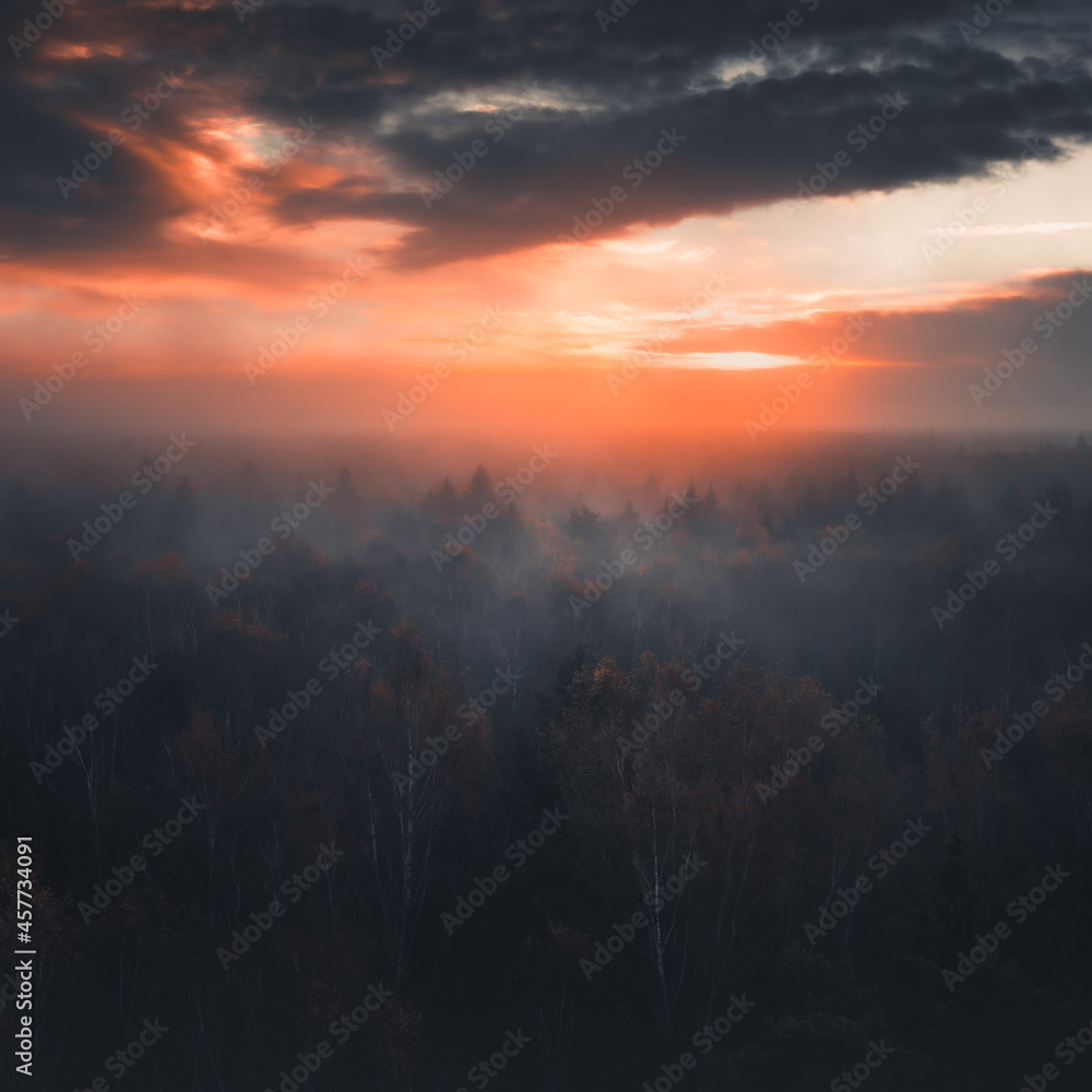 aerial photography of forest, forest and river landscape aerial photography of forest, forest and river landscape