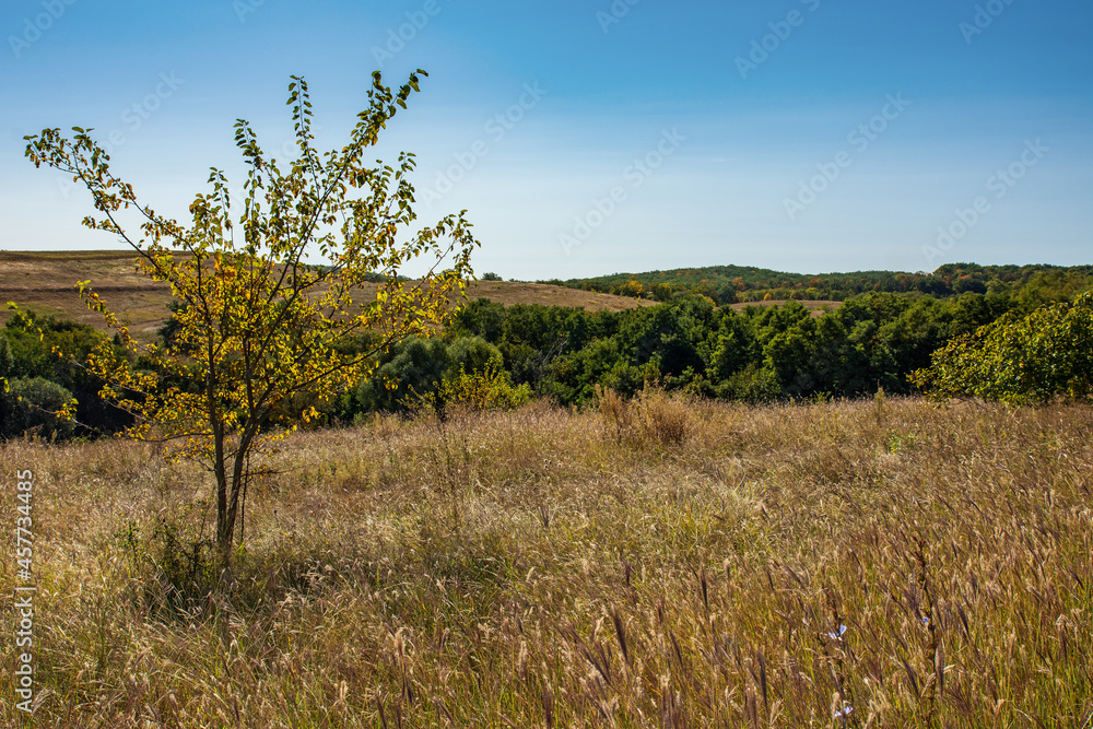Beautiful photos of suburban autumn landscapes. Cherkasy region, Ukraine. Beautiful photos of suburban autumn landscapes. Cherkasy region, Ukraine.