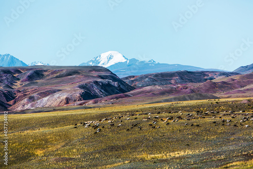 Mountain landscape. Chagan-Uzun, Kosh-Agachsky district of the Altai Republic, Russia