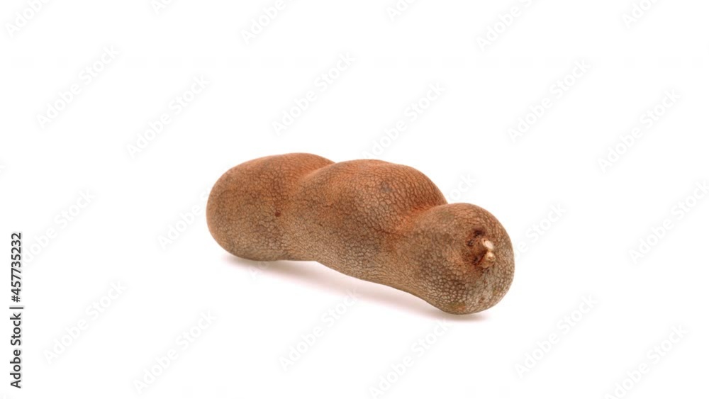 One raw tamarind is rotating. Isolated on white background. One raw tamarind is rotating. Isolated on white background.