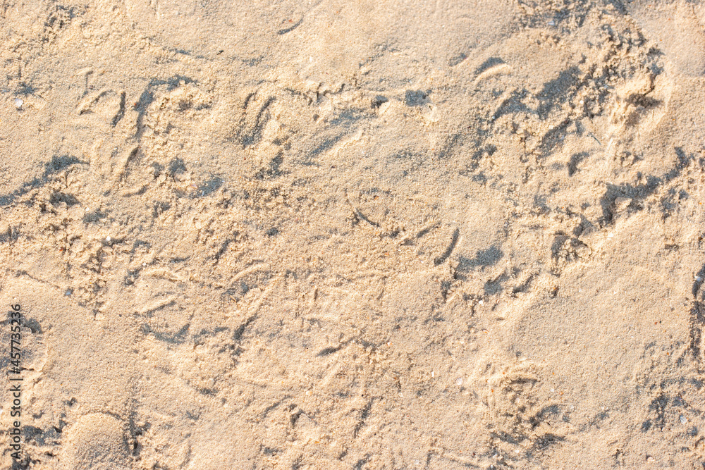 Background of a sandy beach under sunlight. Top view, flat lay Background of a sandy beach under sunlight. Top view, flat lay