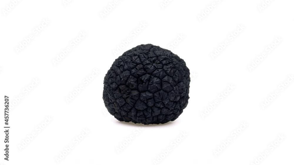 One black truffle mushroom is rotating on white background. One black truffle mushroom is rotating on white background.