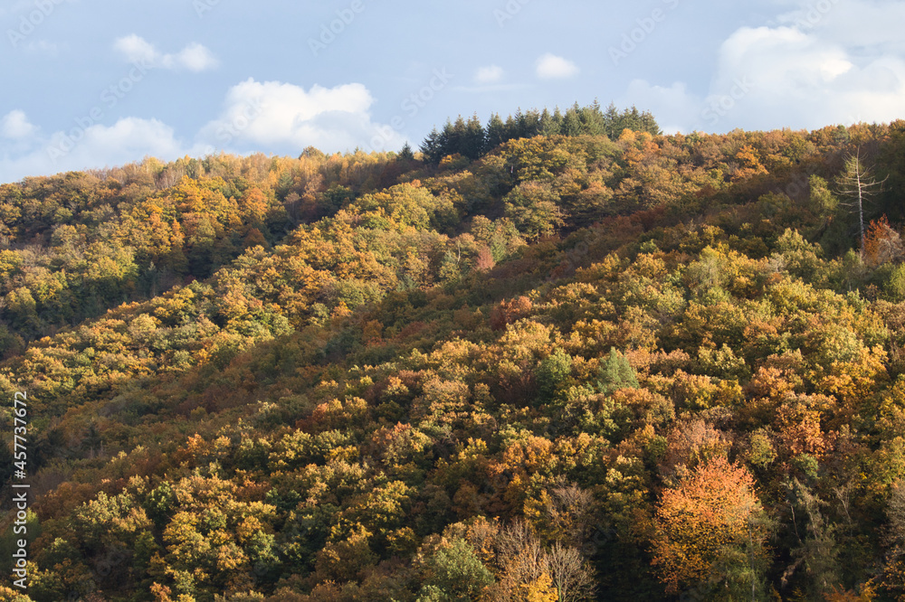 Shadows falling over colorful trees on a fall day in Rhineland Palatinate, Germany near Cochem.