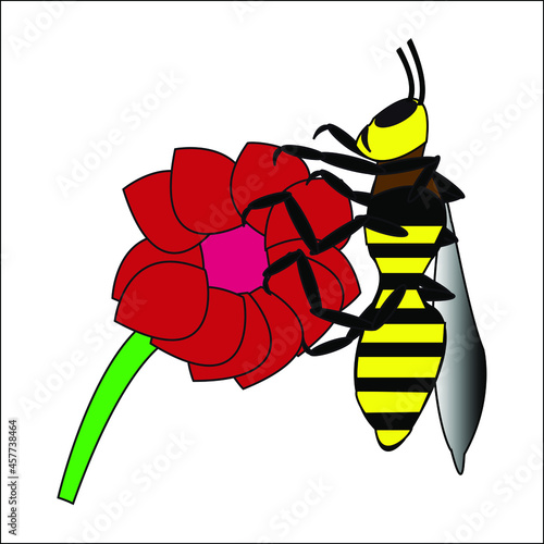 Animal insecto abeja polinizando una flor