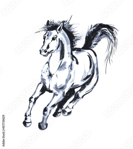 Horse stallion running mare