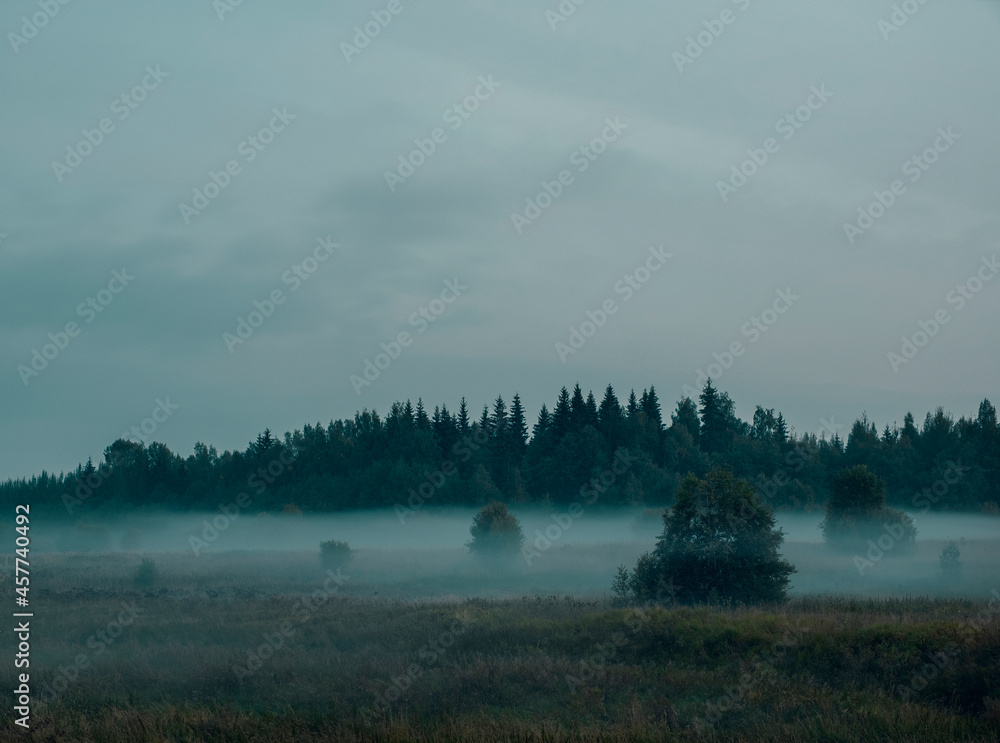 blue Foggy autumn morning landscape with a field near the forest