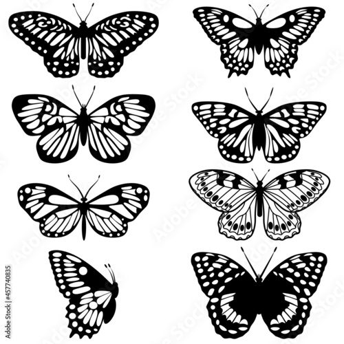 Butterflies collection svg vector illustration transparent 