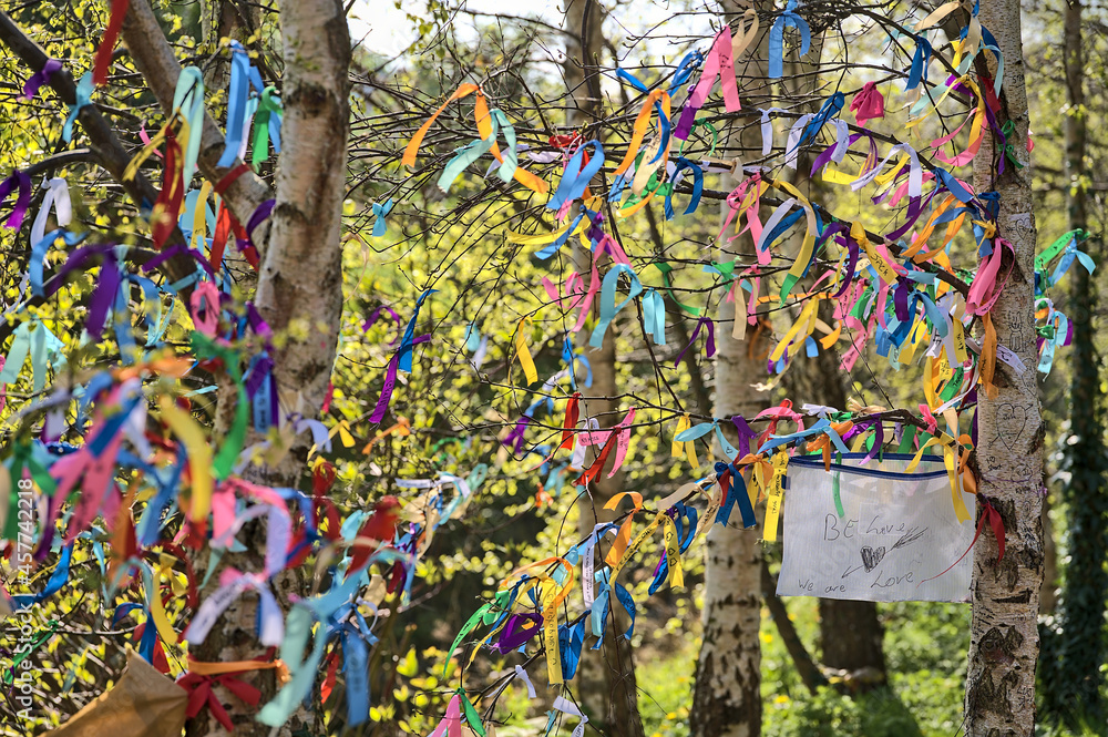 Fototapeta premium Be Love, We Are Love. Beautiful closeup view of many ribbons of different colors tied on branches of spring birch tree seen at university campus, Dublin, Ireland. Soft and selective focus