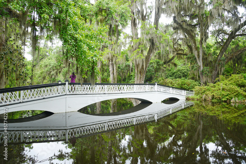 white bridge in swamp photo