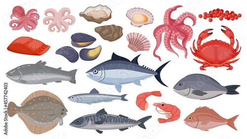 Fresh raw ocean and sea fish, tuna, salmon and herring. Cartoon seafood, shrimp, mussels, scallops, oysters and caviar, shellfish vector set