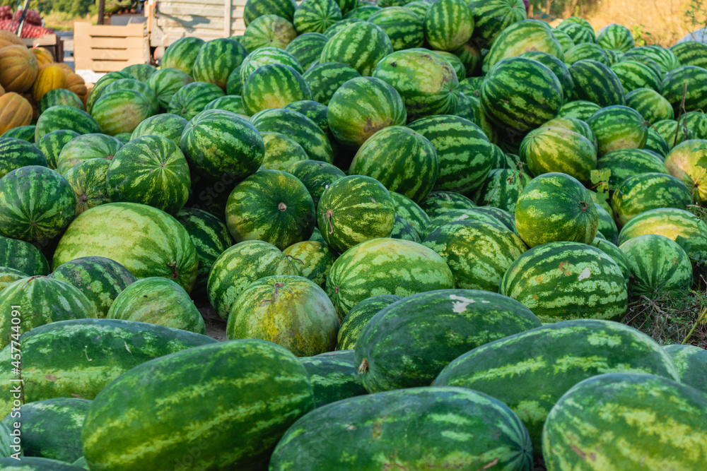 A lot of ripe watermelons in the street market in the south of Ukraine on a blurred background.