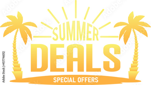 Vector summer deals banner with special offer details	
