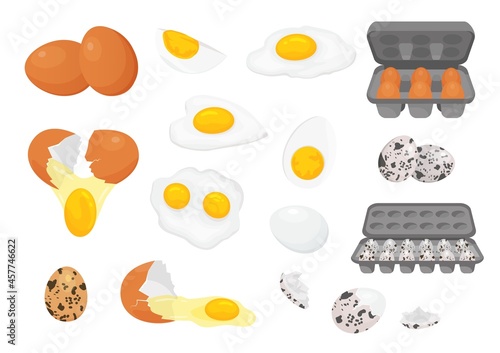 Cartoon farm fresh chicken and quail eggs in packages. Broken, raw, fried and hard boiled egg half with yolk. Eggs for breakfast vector set
