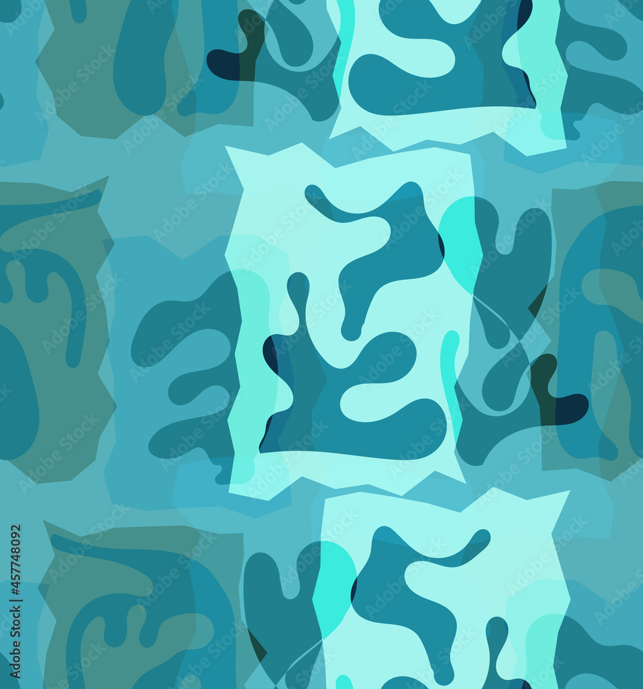 B22_2196 B22_2196