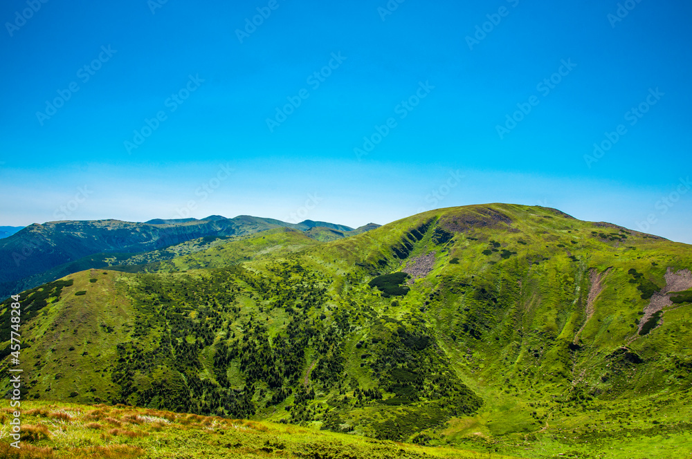 Fototapeta premium beautiful, summer slopes of mountains covered with green young grass against the blue sky, travel. High quality photo