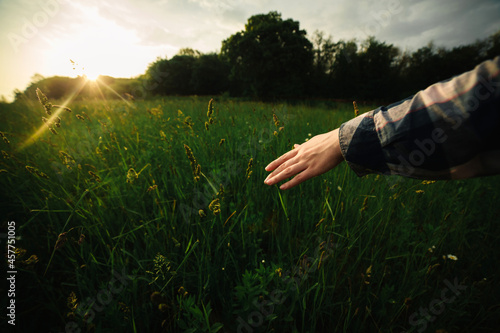 Close up of a woman's hand touching green grass in sunset light. selective focus