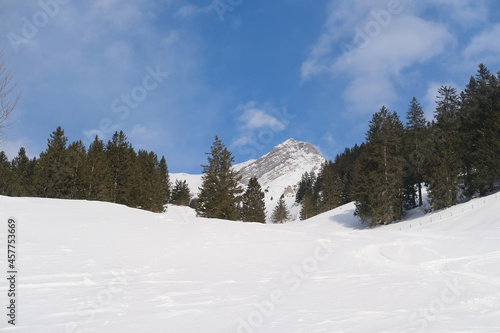 beautiful winter landscape, snow-covered trees, mountainpass, snowfall in the mountains, Swiss Alps in the snow, walks in the winter white forest, tourism, winter sports