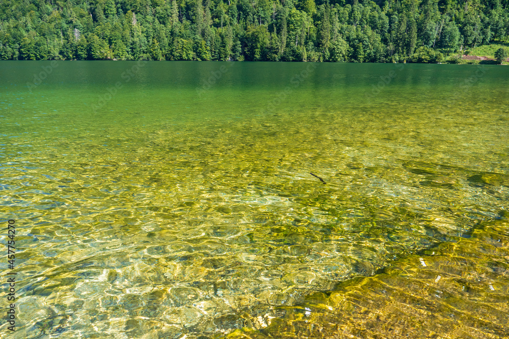 Naklejka premium Königssee