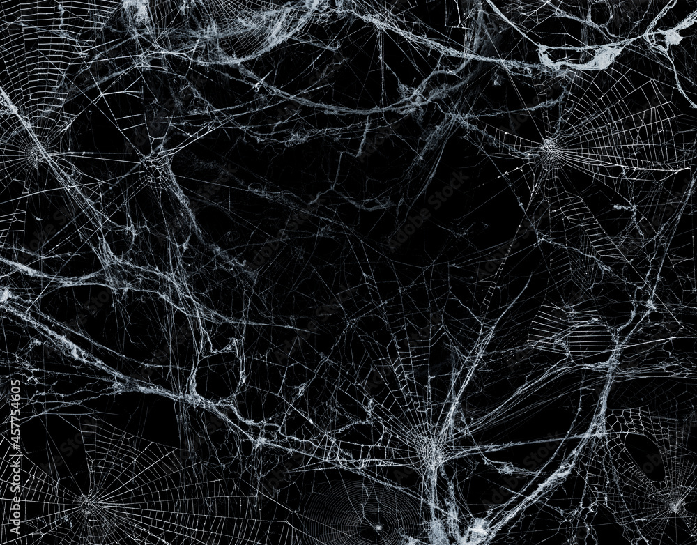 Spiderweb On Black Darkness - Halloween Background - Real Cobweb
