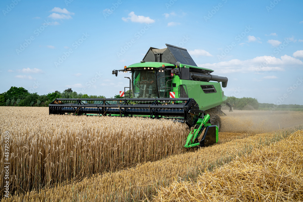 Obraz premium Getreideernte - Moderner Mähdrescher bei trockenem Erntewetter auf dem Feld im Einsatz.