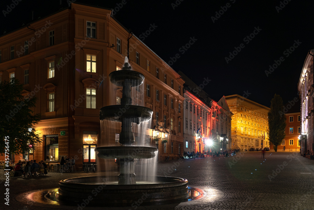 Ljubljana Fountain on Novi trg square at night with illuminated buildings
