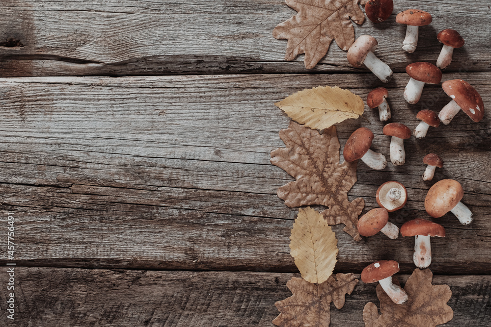 Mushrooms with autumn leaves on rustic background. Autumn holiday, fall, Thanksgiving, Halloween concept. Flat lay, top view, copy spac Mushrooms with autumn leaves on rustic background. Autumn holiday, fall, Thanksgiving, Halloween concept. Flat lay, top view, copy spac