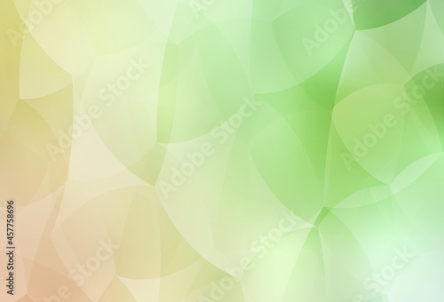 Light Green, Red vector layout with lines, triangles.