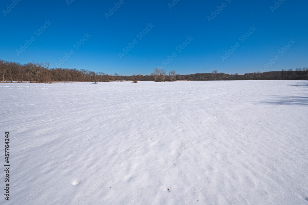 Grasslands Under a Blanket of Snow