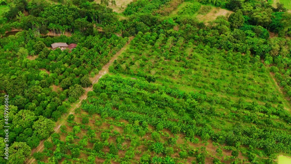 Aerial view of agricultural field planting fruits and vegetables in countryside of Thailand. shot by drone Aerial view of agricultural field planting fruits and vegetables in countryside of Thailand. shot by drone