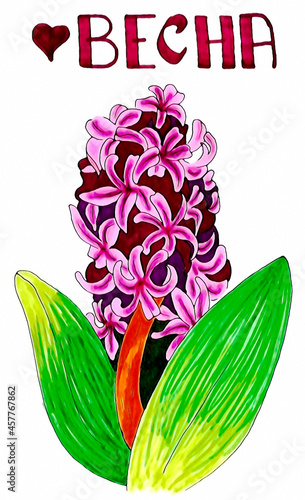 Very beautiful flowers. March eighth. A celebration of all women. technique alcohol markers. Materials alcohol markers and liners.