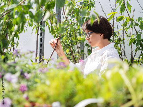 Foto Woman chooses plants and trees for landscaping