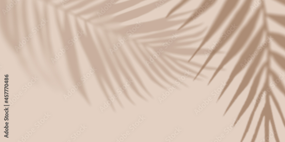 Fototapeta Shadow nature Palm light pastel Background. Creative copyspace. Unobtrusive background with Shadow. Illustration for cover, trend frame, card, banner, graphic design.