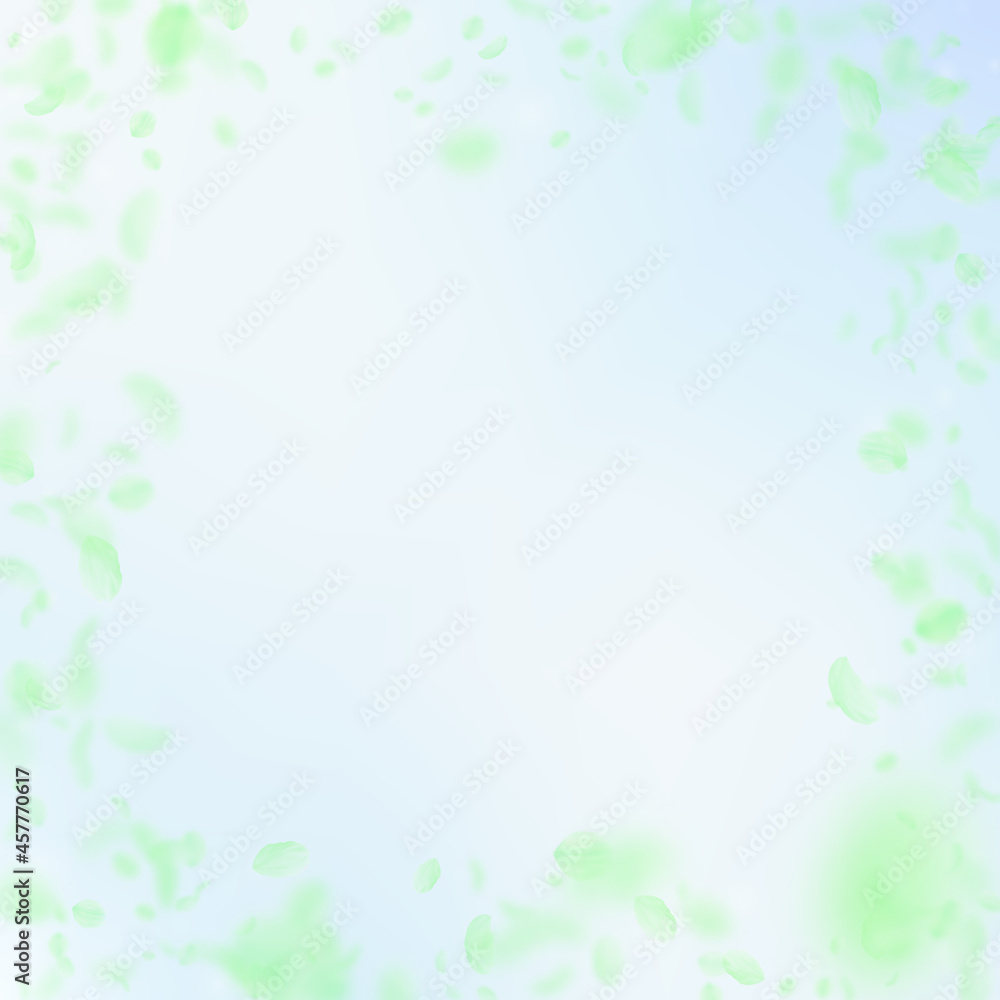 Green flower petals falling down. Lovely romantic