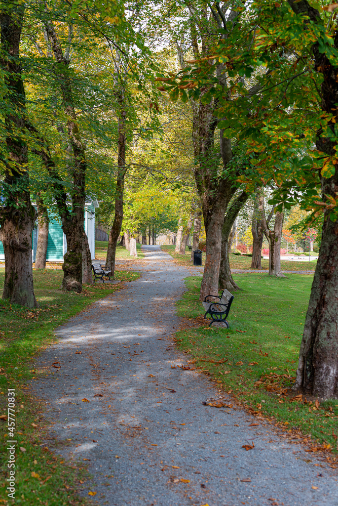 Autumn path in a park with trees of golden, green, and red leaves. The location of the birch and maple trees forms a tunnel with a dark center at the end of the gravel footpath.  The sun is shining.
