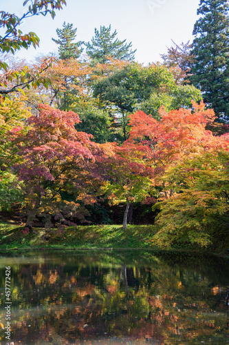 水面に映る秋の紅葉した木々 