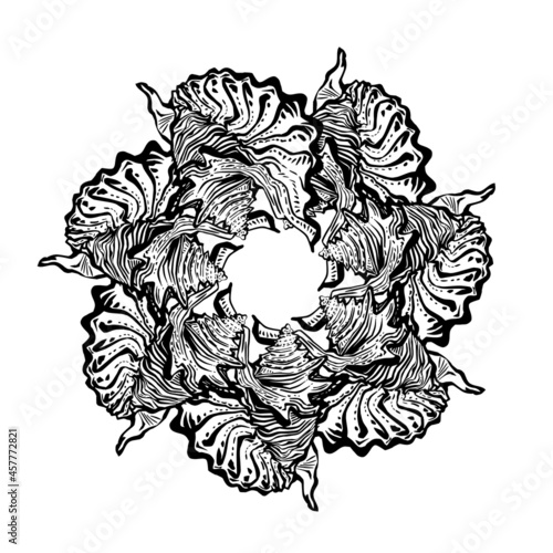 Black and white seashell ornate round frame in black ink isolated on white. Amazing ornamental cockleshell for logo, design element, icons, postcards. Vector illustration. 