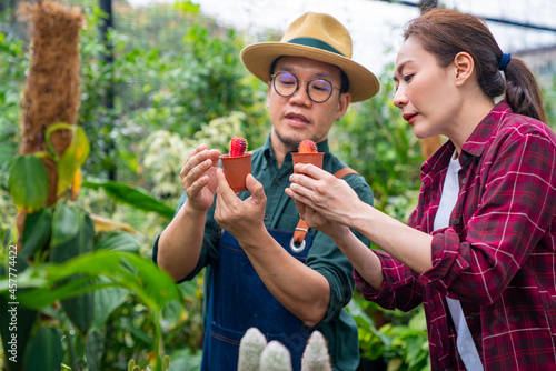 Asian man plant shop owner teaching woman employee caring plants and flowers in greenhouse garden. Male and female gardener working together. Small business entrepreneur and plant caring concept.