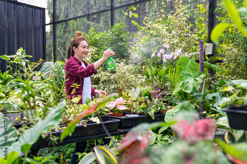 Asian woman gardener caring ornamental plants and flowers in greenhouse garden. Female plant shop owner working and spraying water plants in store. Small business entrepreneur and plant caring concept