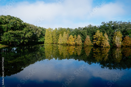 Landscape of Historical Town of Temple Terrace Florida 